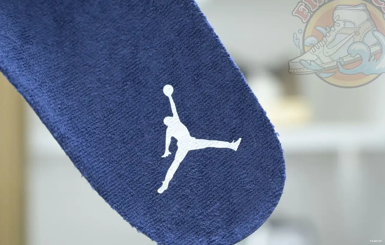 Air Jordan 6